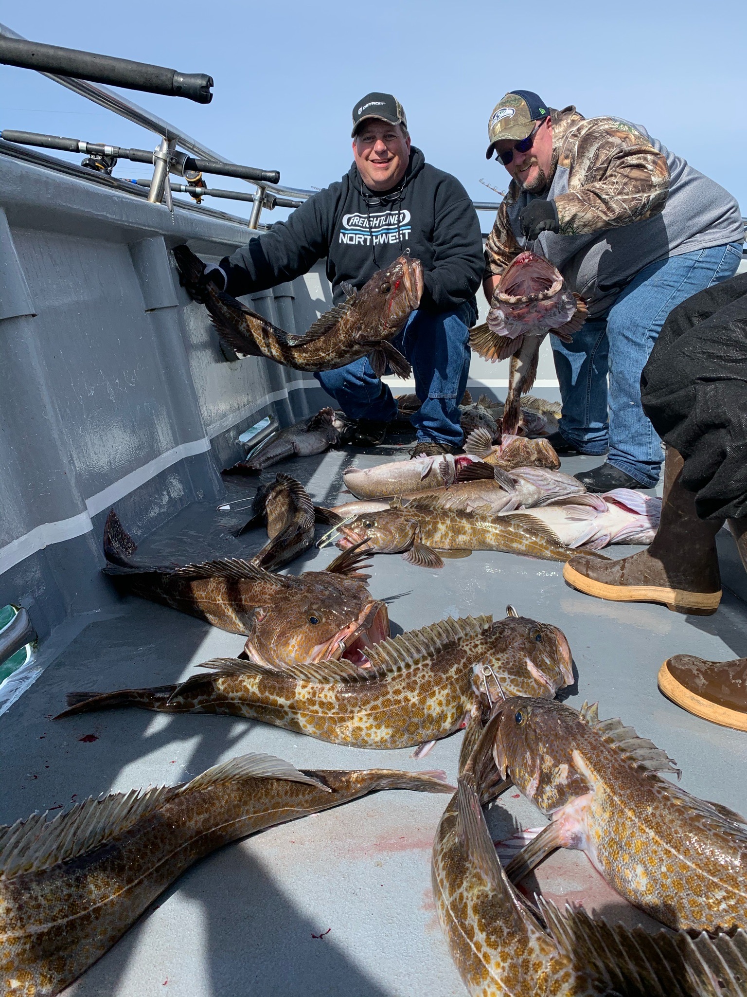 Lingcod Bite Is Going Off In Westport