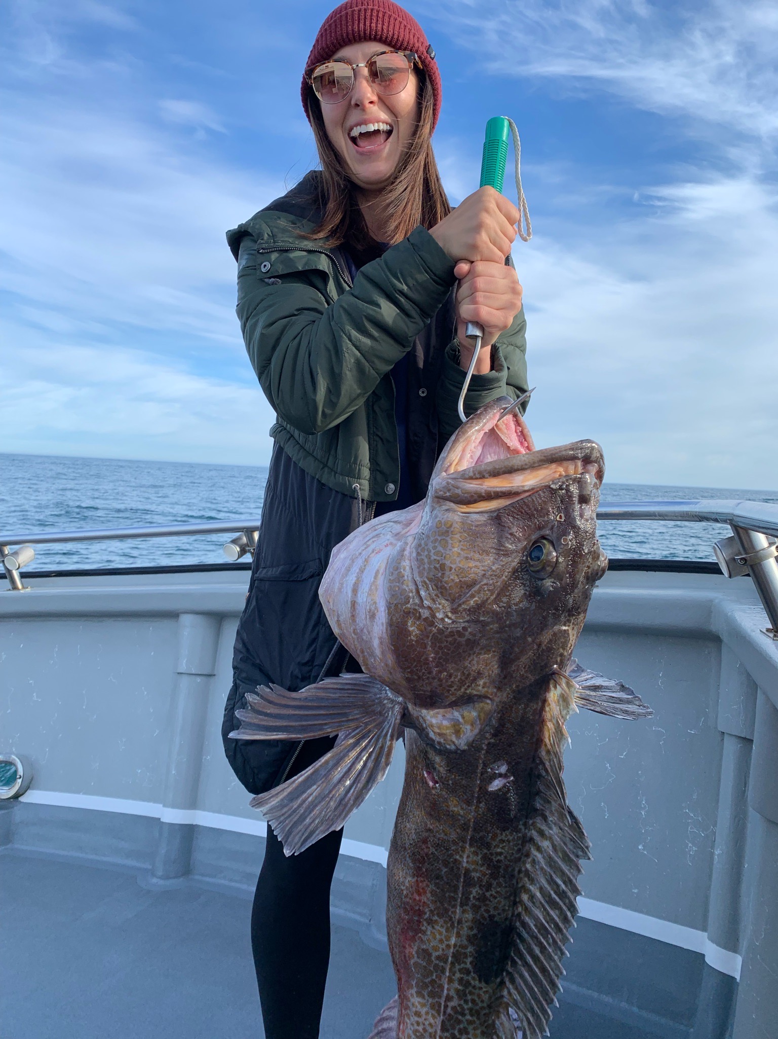 Lingcod Bite Is Going Off In Westport